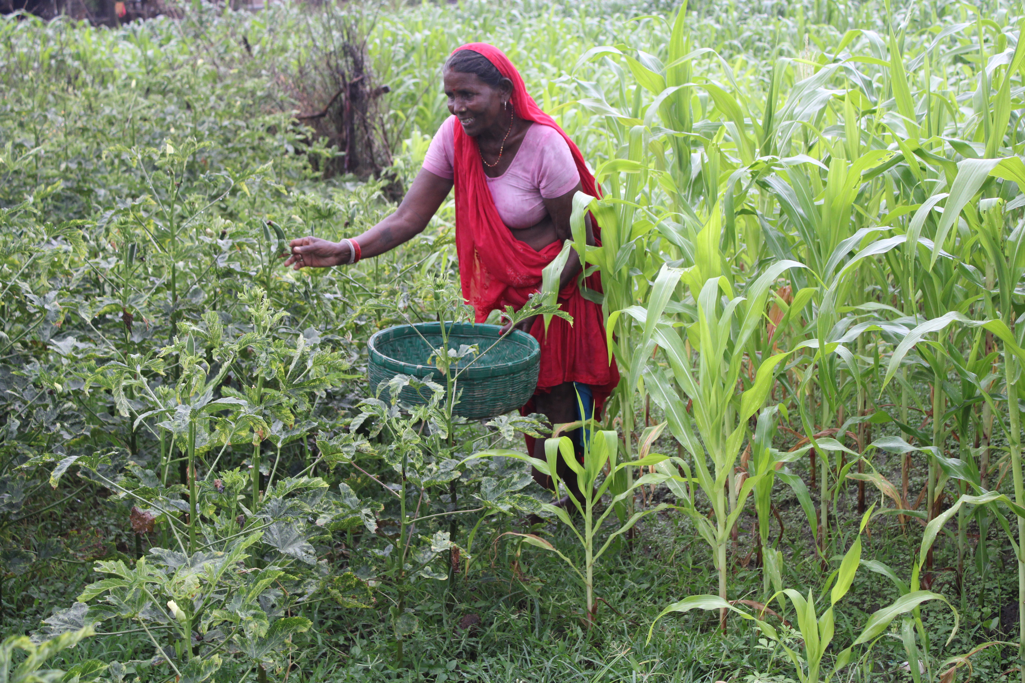 Children participating in educational activities