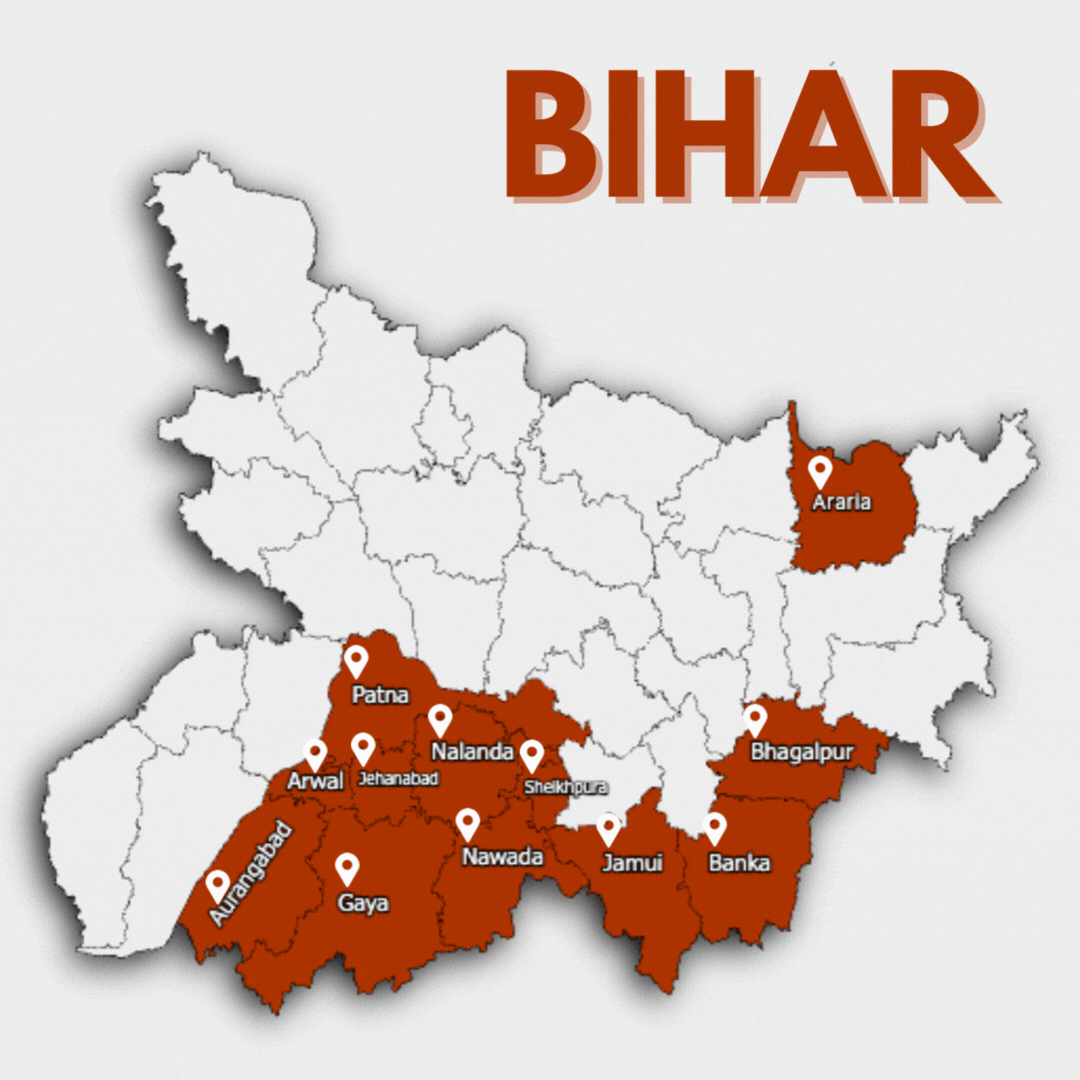 Project statistics animation