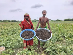 BJUP latest case study