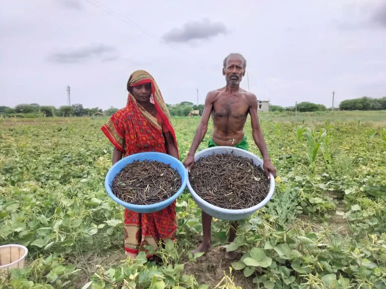 BJUP latest case study