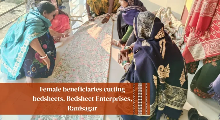 Women Skill Development NGO in Bihar training session