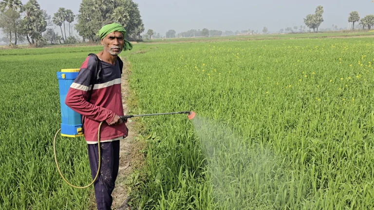 A farmer in Bihar utilizing sustainable agricultural practices supported by BJUP's Natural Resource Management (NRM) & Climate Action programs